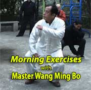 Wang Ming Bo video